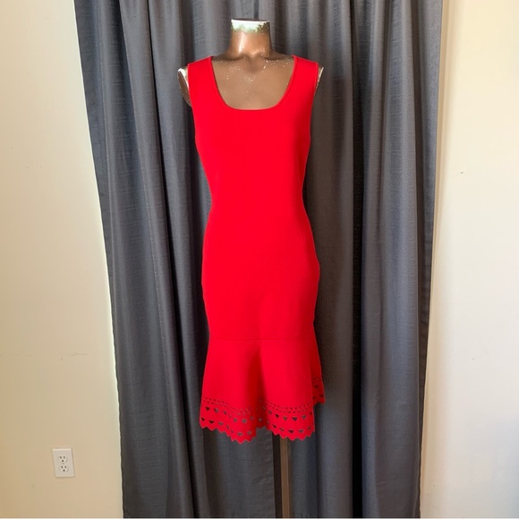 Ann TAYLOR Dresses & Skirts - ANN TAYLOR LASER CUT  DRESS SIZE MP
